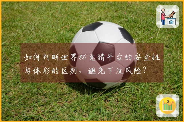如何判断世界杯竞猜平台的安全性与体彩的区别，避免下注风险？