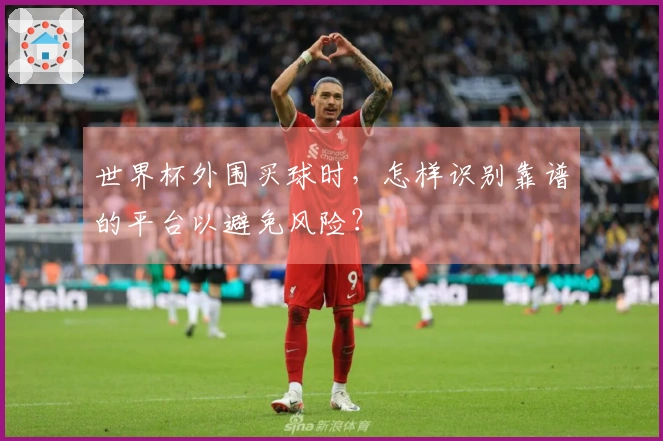 世界杯外围买球时，怎样识别靠谱的平台以避免风险？