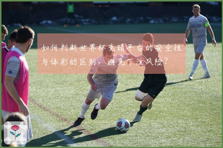 如何判断世界杯竞猜平台的安全性与体彩的区别，避免下注风险？