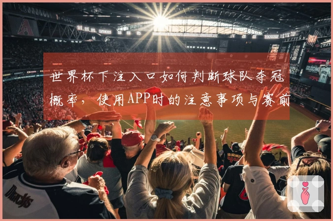 世界杯下注入口如何判断球队夺冠概率，使用APP时的注意事项与赛前准备