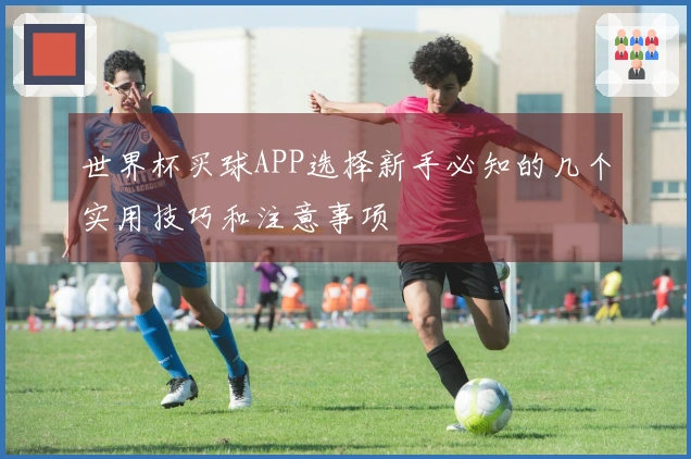 世界杯买球APP选择新手必知的几个实用技巧和注意事项