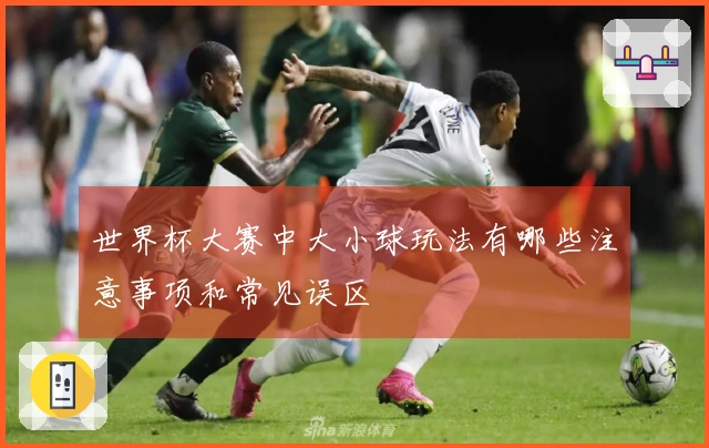 世界杯大赛中大小球玩法有哪些注意事项和常见误区